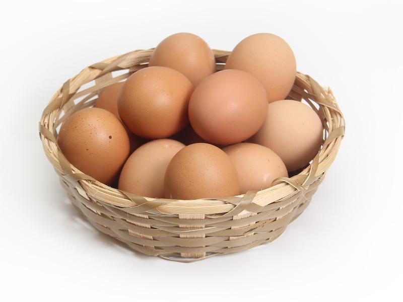Æggeløb