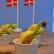 Frugtdyr
